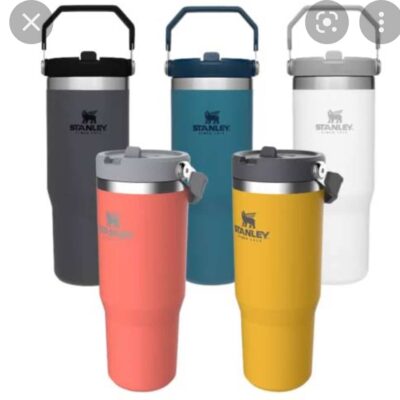 Garrafa Térmica Stanley 600ml